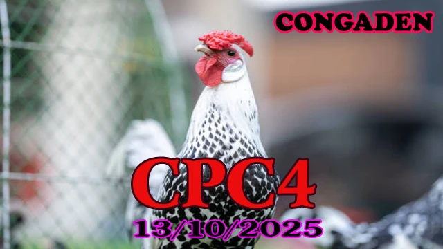 Clip gà đá CPC4 Thomo hôm nay phát lại ngày 13/10/2025