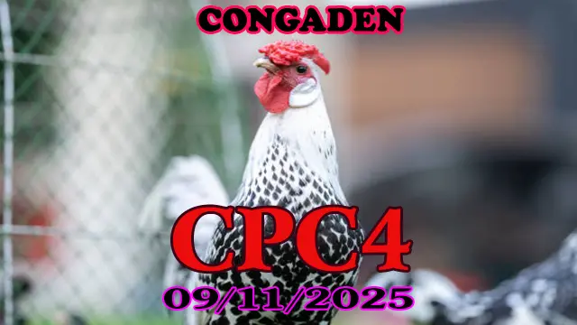 Tổng Hợp Video Đá Gà Tonhon CPC4 Hôm Nay 09/11/2025 Phát Lại