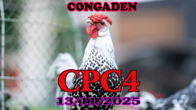 Xem Clip Đá Gà Campuchia CPC4 Hôm Nay 13/11/2025