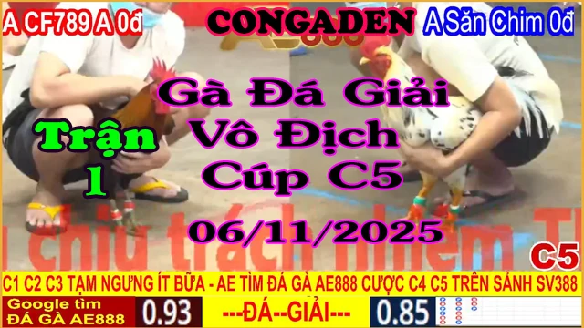 Gà Đá Giải C5 Trận 1: Anh CF789 A (0đ) vs A. Kẽ săn chim PQ (0đ)