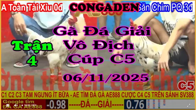 Gà Đá Giải C5 Trận 4: A.Toàn Tài Xỉu (0đ-đỏ) vs A.Kẽ săn chim PQ (3đ-xanh)