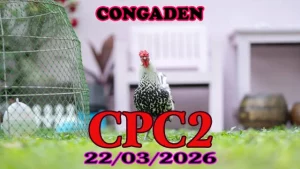 Full Clip Đá Gà CPC2 Thomo ngày 22032025