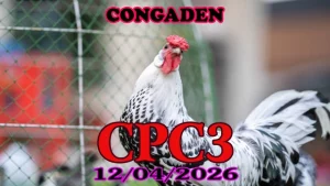 Video Clip Đá Gà Trực Tiếp CPC3 Ngày 12042026