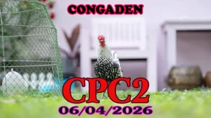 Video Full Clip Đá Gà Thomo CPC2 Hôm Nay 06042026