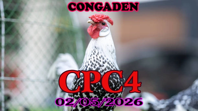 Video Clip đá gà trực tiếp CPC4 ngày 02052026